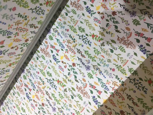 เครื่องการพิมพ์สิ่งทออิงค์เจ็ทดิจิตอลเครื่องการพิมพ์แบนเนอร์